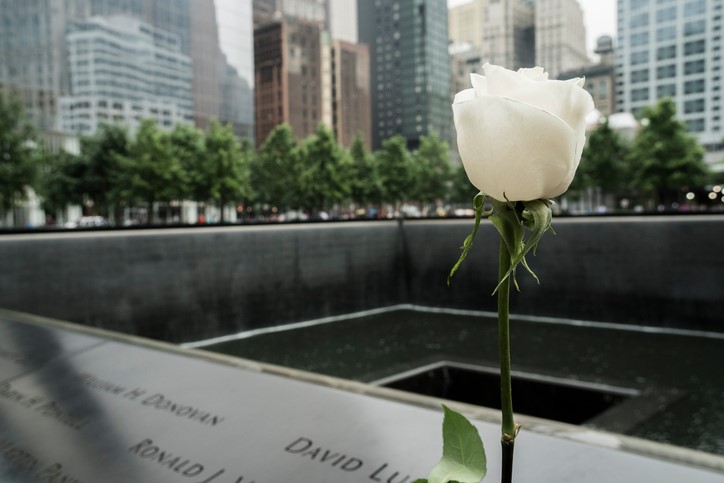 White rose at 9/11 memorial